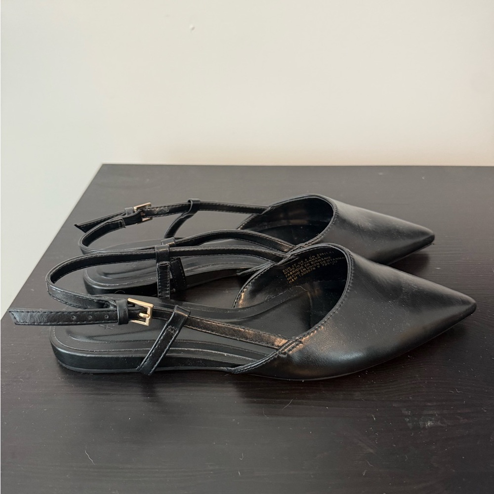 Black Flats